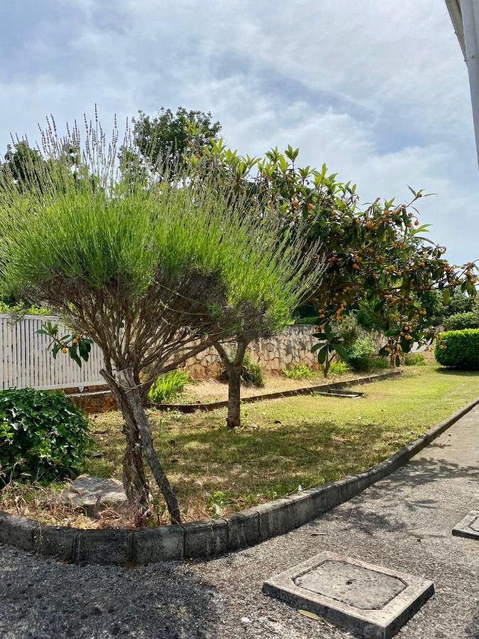 Valica Gardens Villa ซาวูดริยา ภายนอก รูปภาพ
